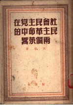 社会民主党在民主革命中的两个策略