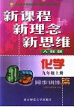 九年级化学同步训练篇 人教版 上