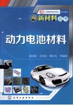 新材料丛书 动力电池材料
