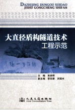 大直径盾构隧道技术工程示范