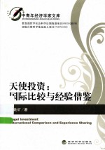 天使投资 国际比较与经验借鉴