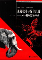 主题设计与综合表现 另一种观察的方式