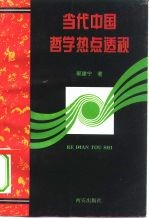 当代中国哲学热点透视
