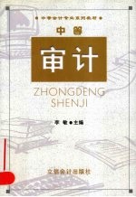 中等审计