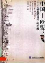 中国-欧盟 中小企业的合作与发展