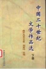 中国二十世纪文学作品选 下