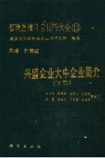 兴盛企业大中企业简介 下