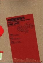 中国国策报告：2008-2009年