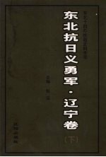 东北抗日义勇军 辽宁卷 下