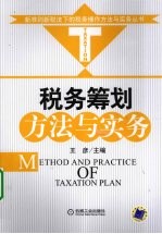 税务筹划方法与实务