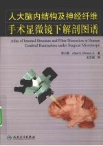人大脑内神经纤维手术显微镜下解剖图谱