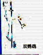 双鹦鹉