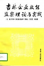 吉林企业效能监察理论与实践