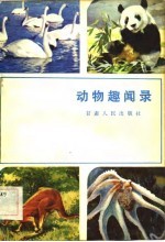 动物趣闻录