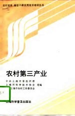 农村第三产业