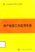 清产核资工作实用手册
