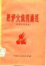 把炉火烧得通红 政治抒情诗集