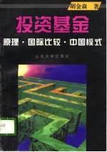 投资基金 原理·国际比较·中国模式