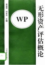 无形资产评估概论