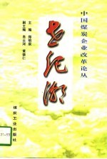 世纪潮 中国煤炭企业改革论丛