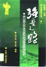 强县之路 灵山从农业大县向经济强县跨越纪实