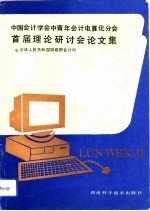 中国会计学会中青年会计电算分会首届理论研讨会论文集