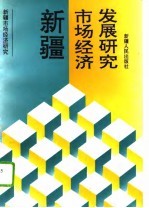 新疆市场经济发展研究