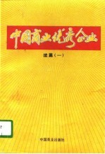 中国商业优秀企业 续篇 1