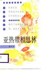 亚热带相思林 肖兴文诗集