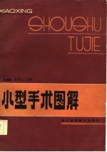 小型手术图解