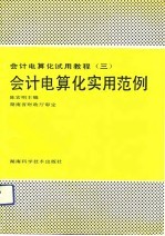 会计电算化实用范例