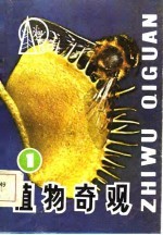 植物奇观 1
