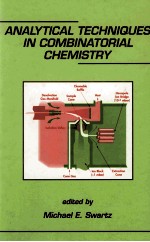 ANALYTICAL TECHNIQUES IN COMBINATORIAL CHEMISTRY