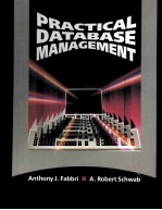 PRACTICAL DATABASE MANAGEMENT