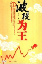 波段为王 叶弘谈股市股民股票 题材篇