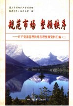 规范市场 整顿秩序 矿产资源管理秩序治理整顿资料汇编 2
