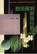 营销策划案例分析