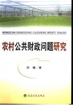 农村公共财政问题研究