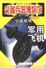 空中雄鹰-军用飞机
