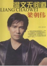 温文无间道 梁朝伟