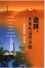 迪拜,未来从这里开始 “迪拜崛起”启示录