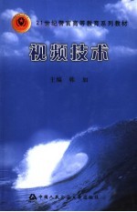视频技术