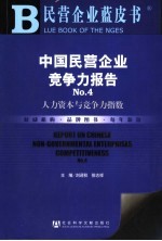 中国民营企业竞争力报告 人力资本与竞争力指数