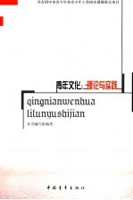 青年文化 理论与实践