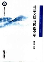 司法文明与诉讼变革