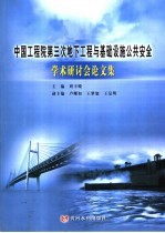 中国工程院第三次地下工程与基础设施公共安全学术研讨会论文集