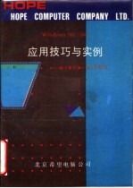 WINDOWS 386/486应用技巧与实例:充分发挥386/486的功能
