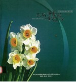 东南花都：漳州市园林绿化集锦