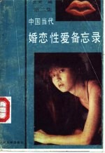 中国当代婚恋性爱备忘录 第2集
