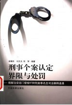刑事个案认定界限与处罚 精解治安部门管辖97种刑案罪名及司法解释选录